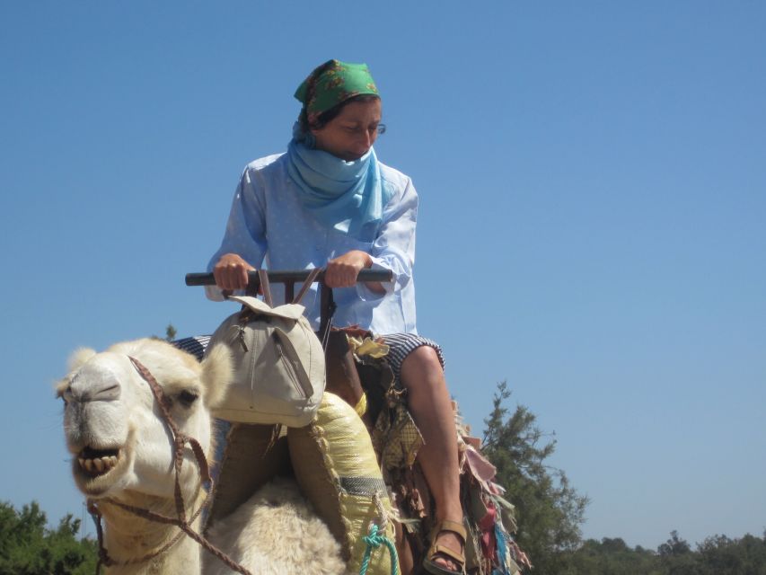 7 Best Guided Tours In Essaouira