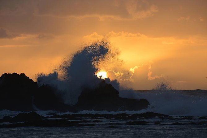 Essaouira Guided Tour: 3 on 1 - Nightlife Tour, Live Like a Local & Street Food
