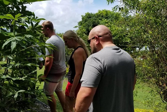 Essence of St Lucia Heritage Experience