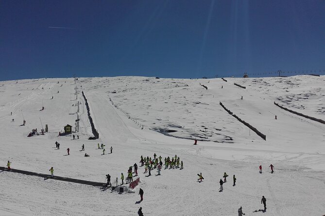 Estrela Mountain, Cheses, Wines and Olive Oils, Full-Day From Coimbra