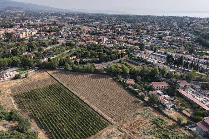 Etna Urban Winery – Tasting With Street Food Platter and Vineyard