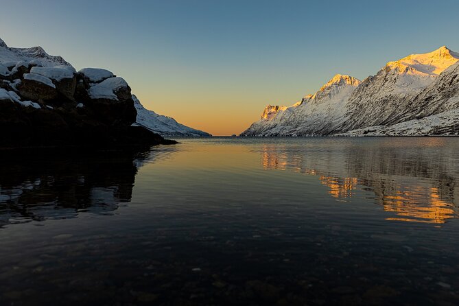 Evening Fjords Tour in Kvaløya