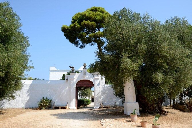 EVO Oil Tasting in Masseria in Ostuni
