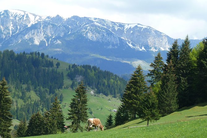 Excursion in Moeciu De Sus (Recommended for Families) With Native Spanish Guide. - Meeting Point and Pickup Details