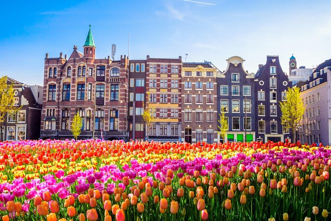 Excursion to Amsterdam by Bus From Brussels
