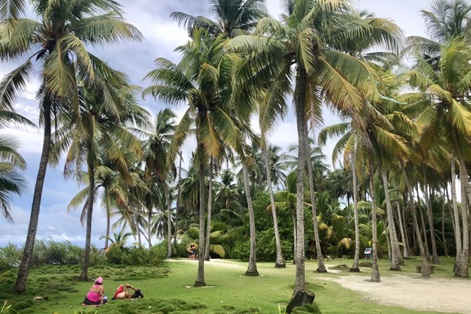 Excursion to Jhony Cay, Aquarium, Bay Tour and Mangroves. - Meeting Point and Time