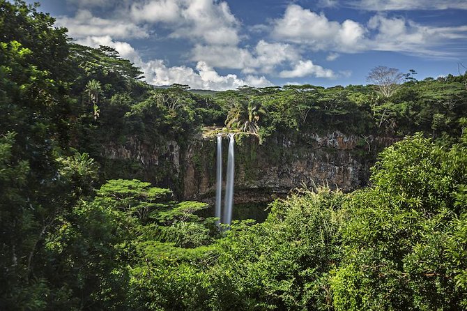 Exotic South: Journey Into the Nature (Full-Day Tour Incl Lunch & Ebony Forest)