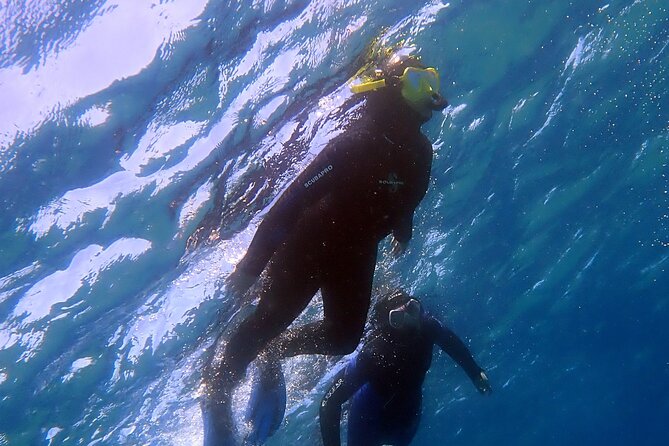 Experience 2-Hour Guided Snorkelling in Costa Teguise Lanzarote