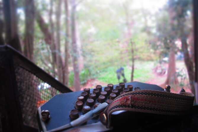 Experience Barbecue and Tango in the Delta of Tigre