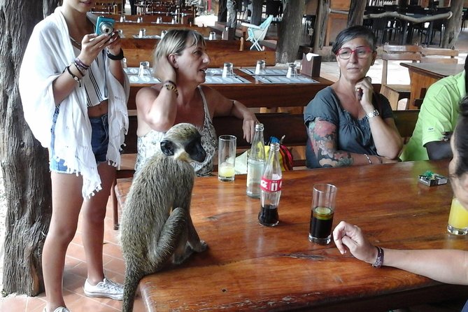 Experience Dakar-Goree-Pink Lake-Safari Tour in 2 Days