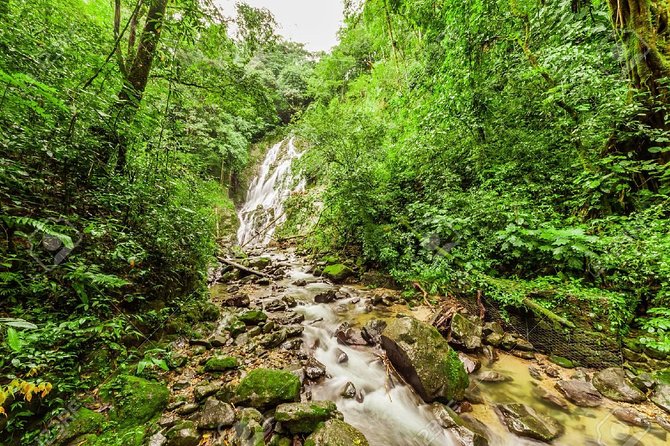 Experience: Discover Tte Enigmas of the Valley