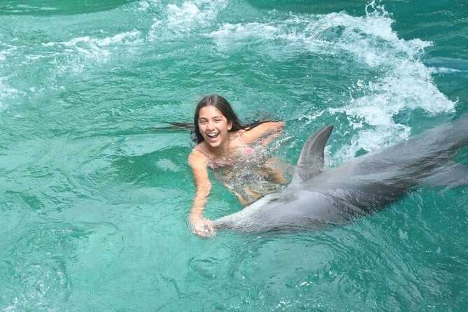 Experience the Dolphin House Royal VIP Sea Trip in Hurghada