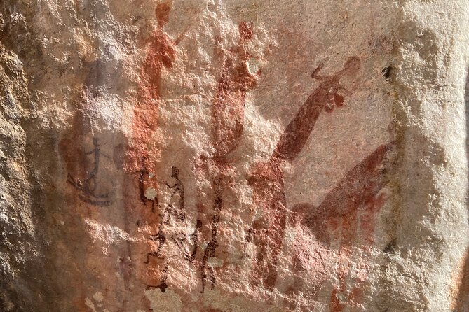 Explore Ancient Rock Art on a Private Guided Trip From Cape Town