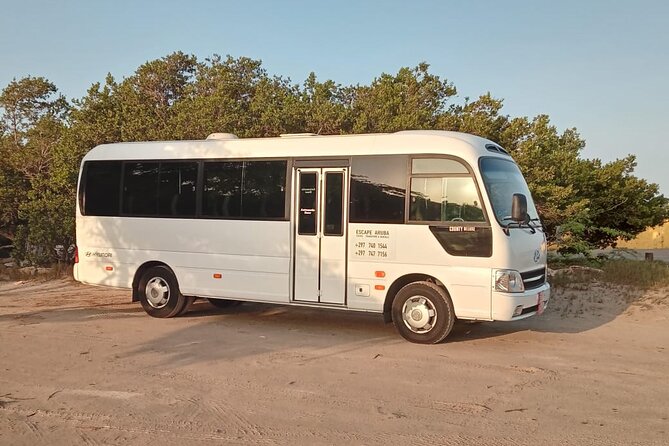 Explore Aruba With Escape Aruba
