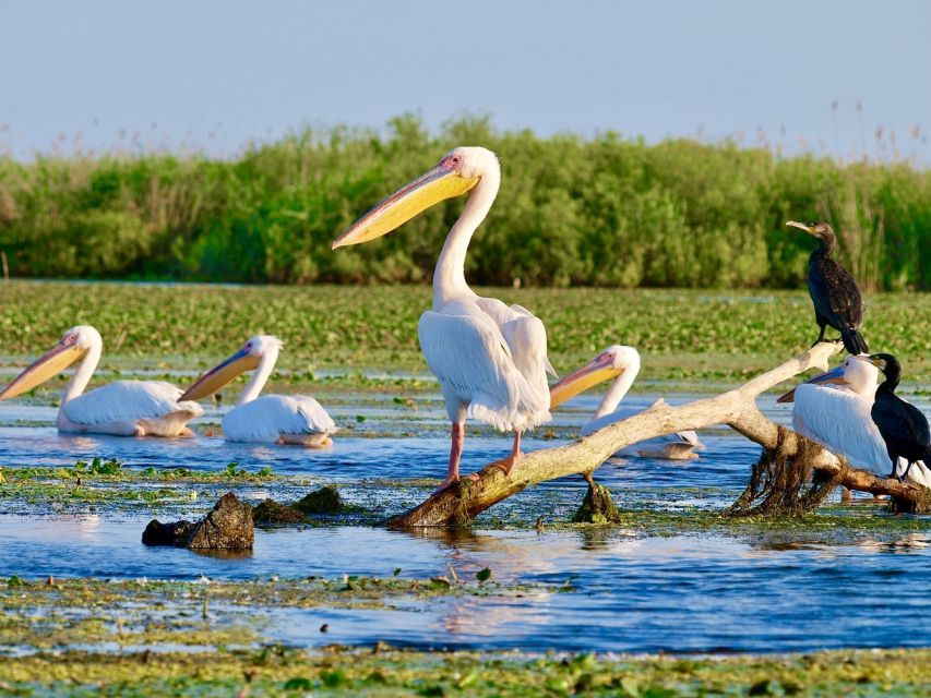 Explore Danube Delta and Black See in 2 Day Private Tour