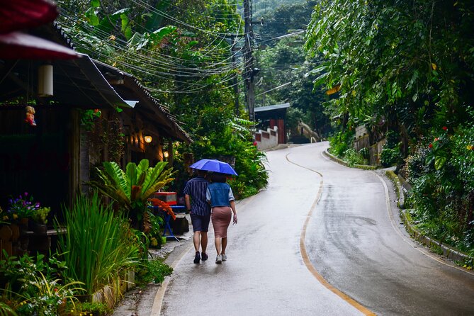 Explore Mae Kampong Village From Chiang Mai City