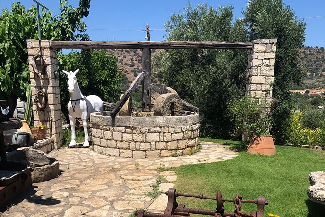 Explore the Secrets of Wine and Olives in Rethymno