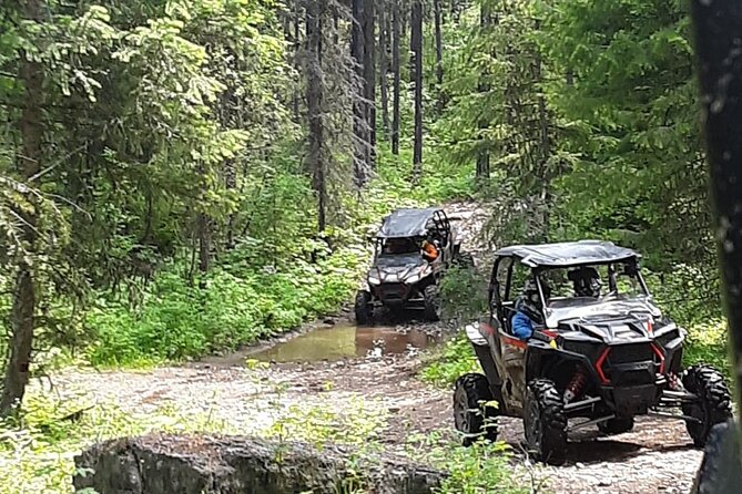 Falling for Montana Tour 4-seat RZR Full Day at Action Rentals MT