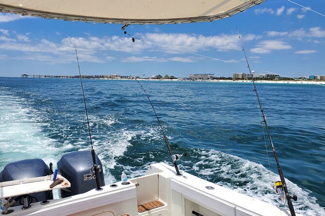 Family Fun Combo: Dolphins, Fishing & Swimming (Flowing Water Charters)
