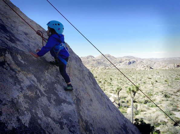 Family Rock Climbing Trips in Joshua Tree National Park (6 Hours)