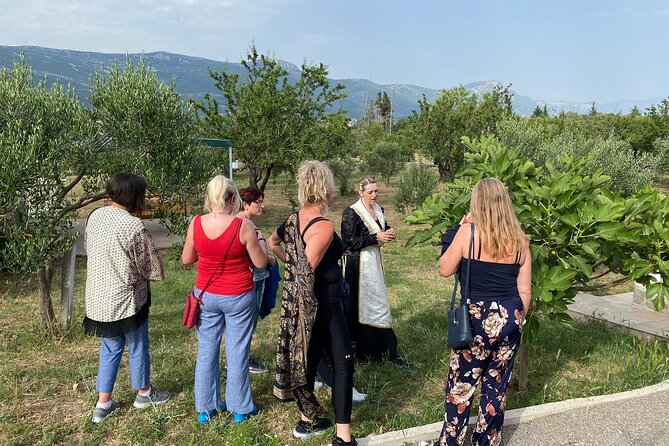Family-Run Vineyard Tour Review: A Delightful Experience