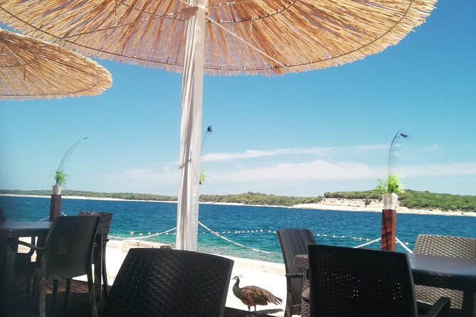 Fazana: (Lunch) Brijuni Islands Cruise & Visit Peacock Island