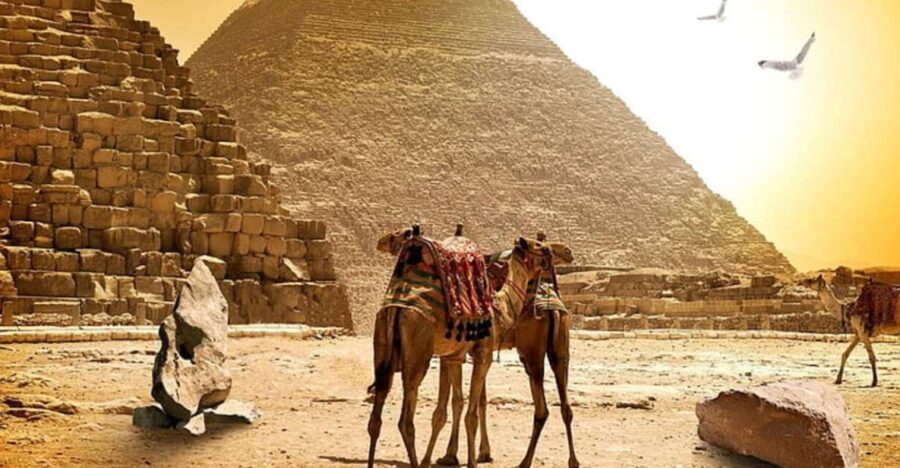 25 Best Guided Tours In Cairo