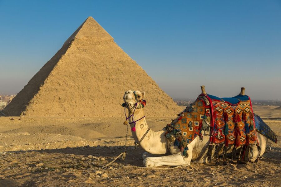 14 Best Guided Tours In Alexandria