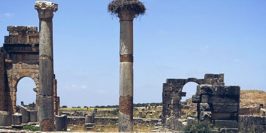 Fes to Volubilis via Meknes and Moulay Idriss Day Tour