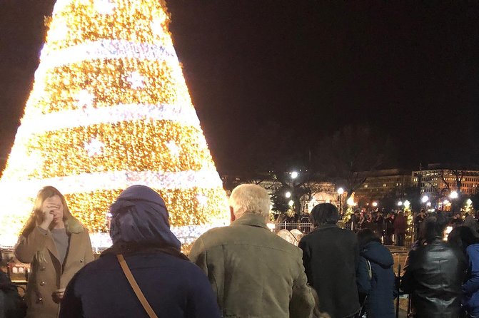 Festival Of Lights Night Tour