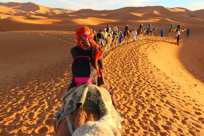 Fez to Marrakech Camel Trekking 3 Days 2 Nights - Tour Highlights