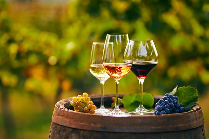 Finest Wines of Montenegro Private Tour With Lake Cruise