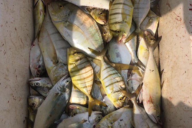 Fishing Trip