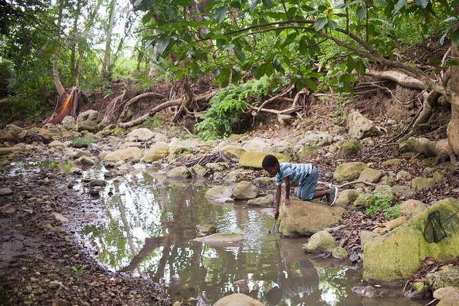 Five Hour Day Pass: 3 Hour Fun Hike and Challenges/Great Experiences/Bajan Lunch - Overview of the Experience