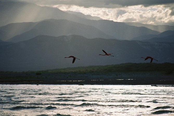 Flamingo Island – Laguna Oviedo