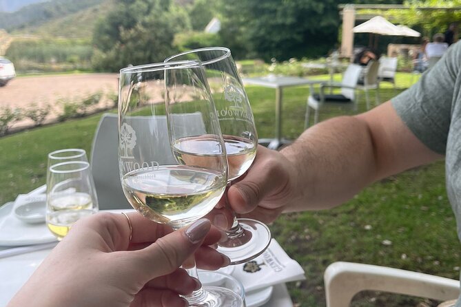 Franschhoek Shared E-Bike and Wine Tour