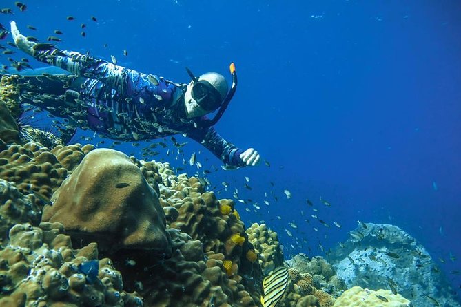 Freediver Advanced (Start at Koh Chang)