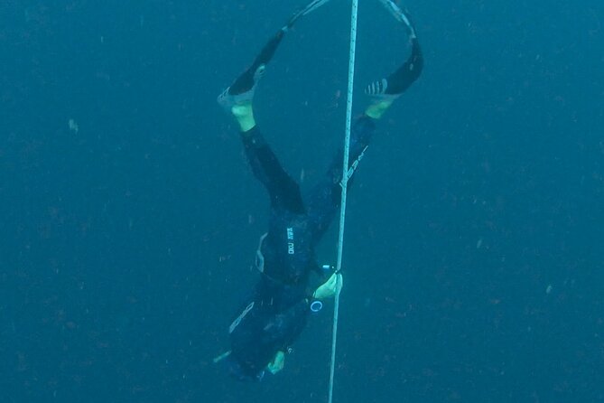 Freediving in Costa Rica - Overview of the Experience