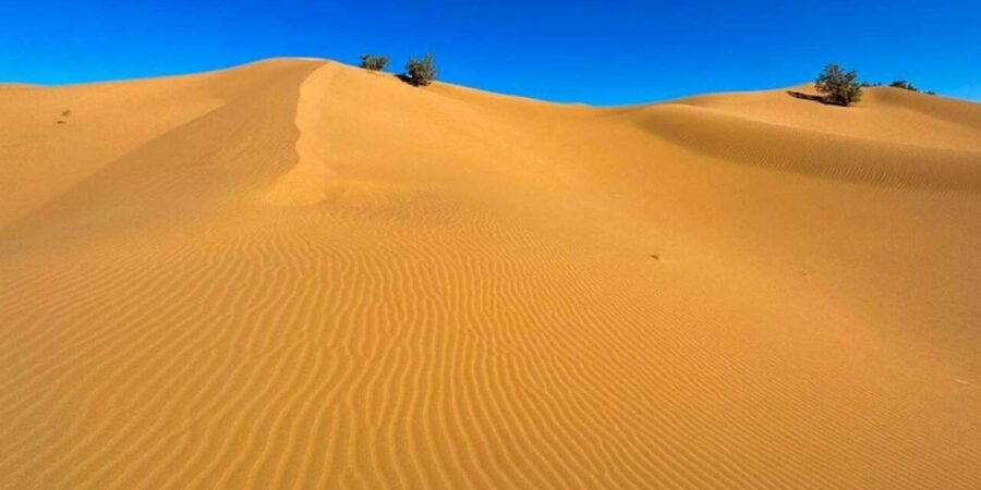 From Agadir : 03 Days Tour to Zagora and Chegaga