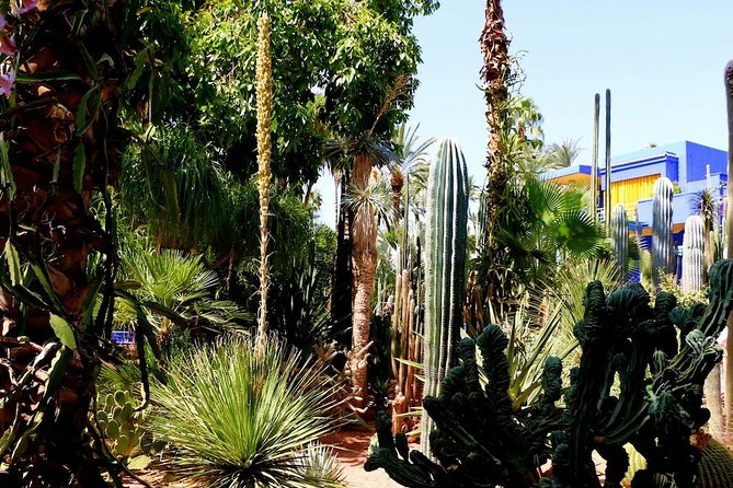 From Agadir: Private Day Trip to Marrakech