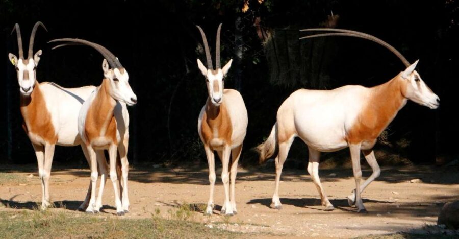 10 Best National Park Tours In Agadir