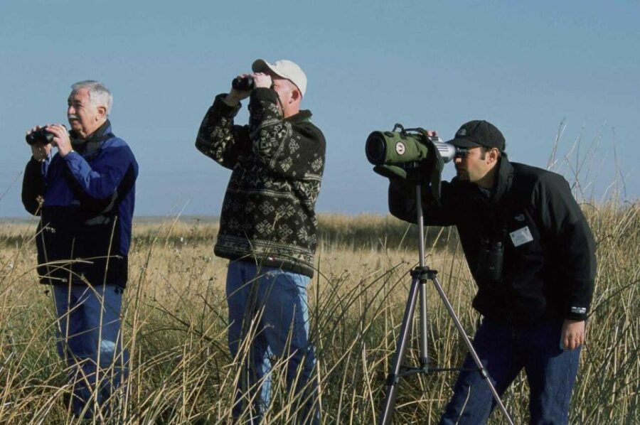 From Agadir: Souss-Massa Park Bird Watching Private Tour