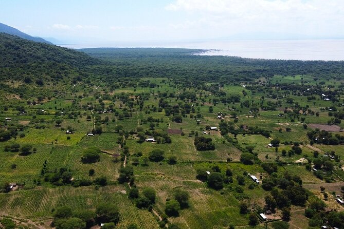 From Arusha: 9 Days Private Guided Classic Game Drive in Tanzania - Highlights of the Itinerary
