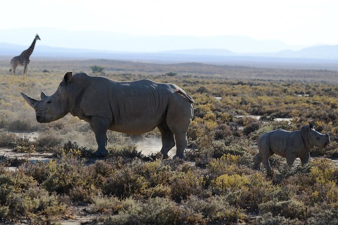 From Arusha : Days Safari Northern Circuit to Maasai Boma