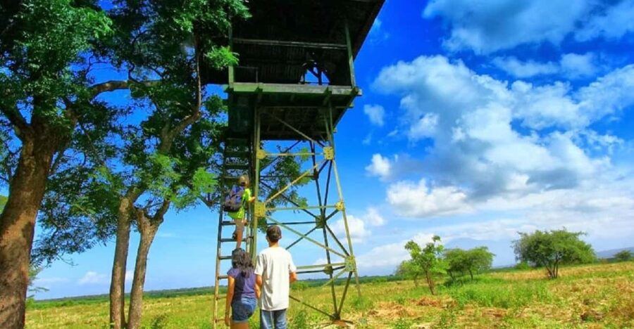 25 Best Tours In Banyuwangi