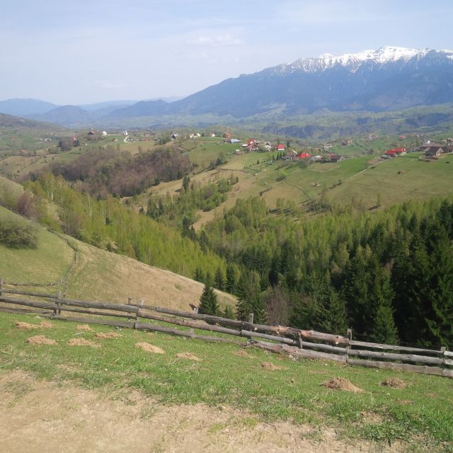 From Brașov: Half or Full Day Transylvania Jeep Tour