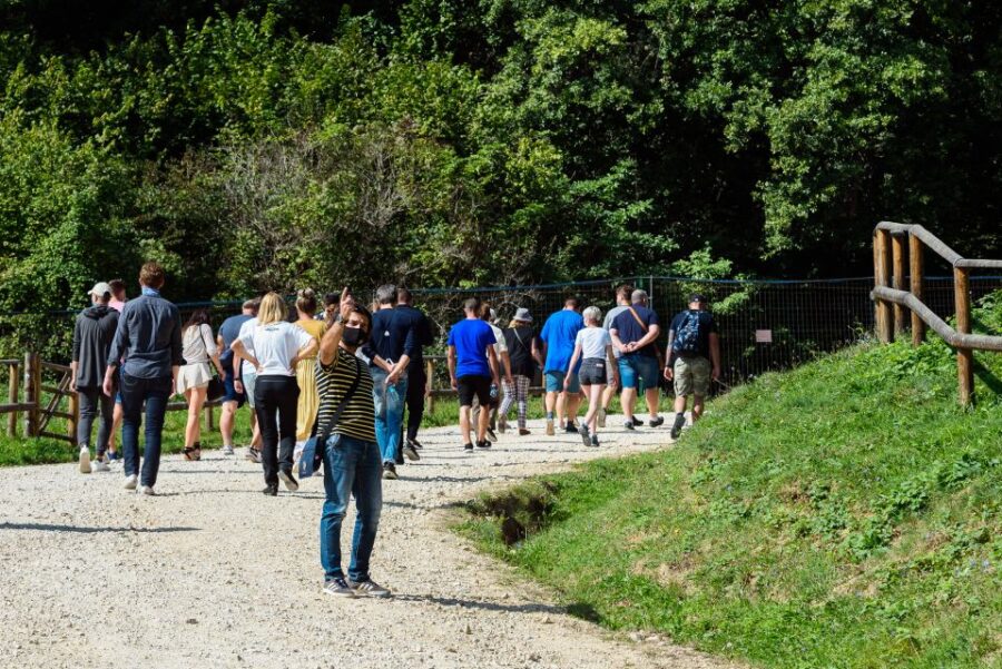From Bucharest: Bear Sanctuary and Dracula Castle Day Tour - Overview of the Day Tour