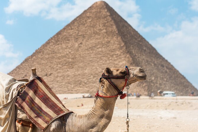 From Cairo: Half-Day Tour to Pyramids of Giza and the Sphinx