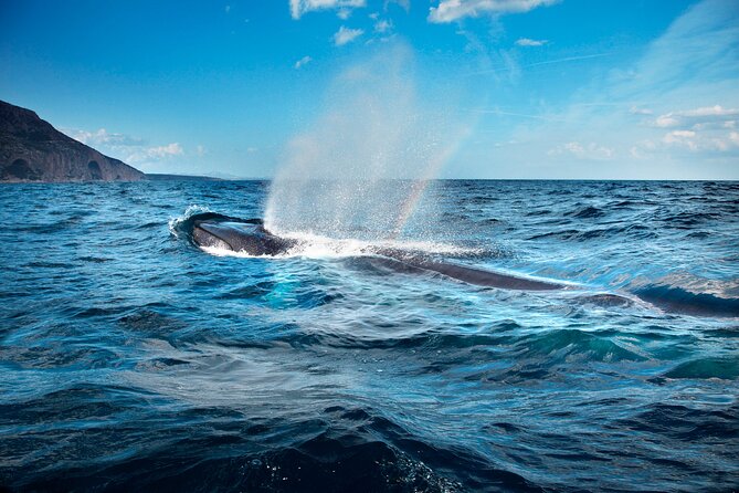 From Cala Gonone: Naturalistic Excursion on a RIB