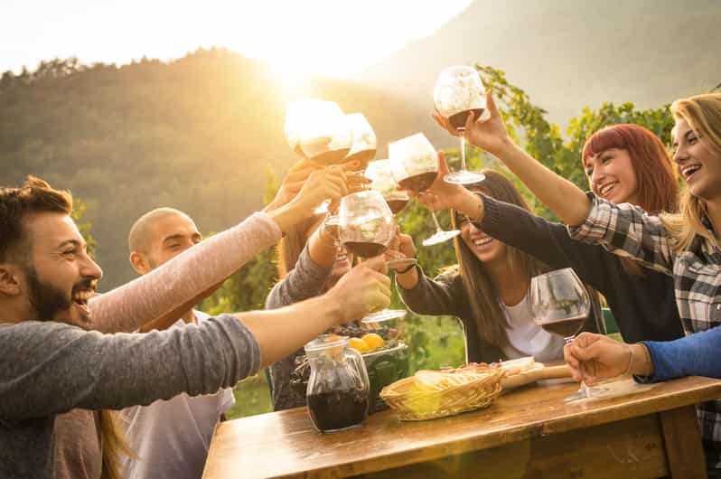 From Cape Town: Winelands Best Day Ever: Private Day Tour